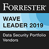 e com security solutions -_forrester_leader