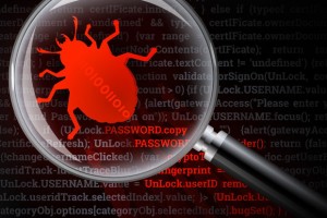 security bug