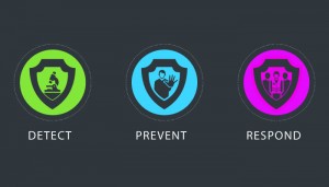 security score card