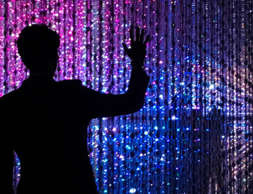 Artificial intelligence risk management