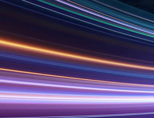 Insights on Vulnerability Management