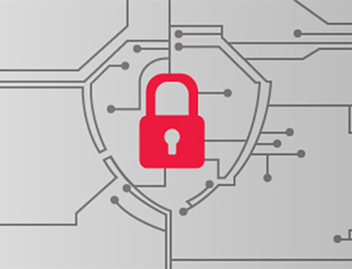 Why ABAN Healthcare Relies on E Com Security Solutions Red Teams and Penetration Testing